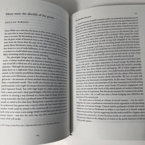 Frank O'Connor Critical Essays 2007 Edited by Hilary Lennon HC Four Courts Press - Picture 16 of 16
